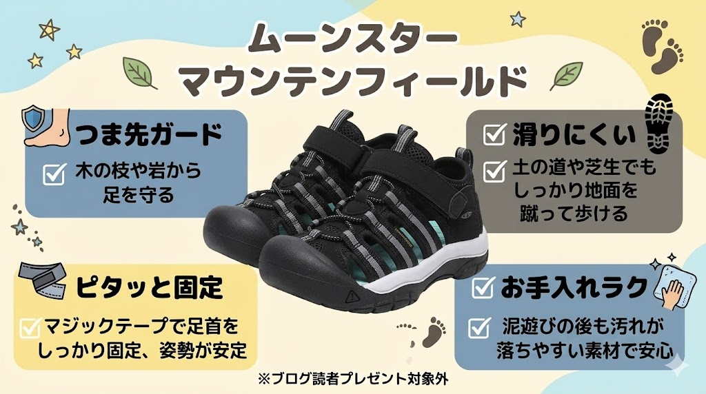 ムーンスターマウンテンフィールドの特徴まとめ